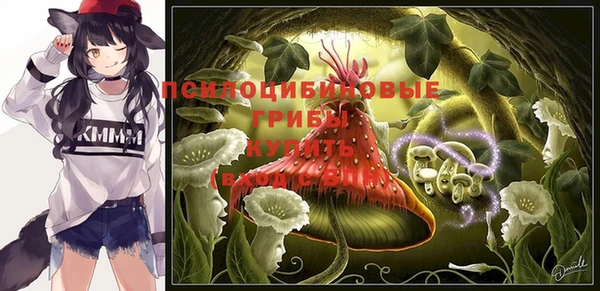таблы Богородицк