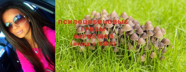 таблы Богородицк