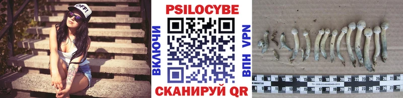 Галлюциногенные грибы мицелий  Купить закладки  Обоянь 